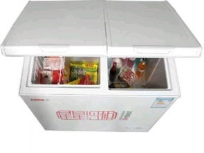 重庆家电设备转让 双温大容量冰柜，价格从优